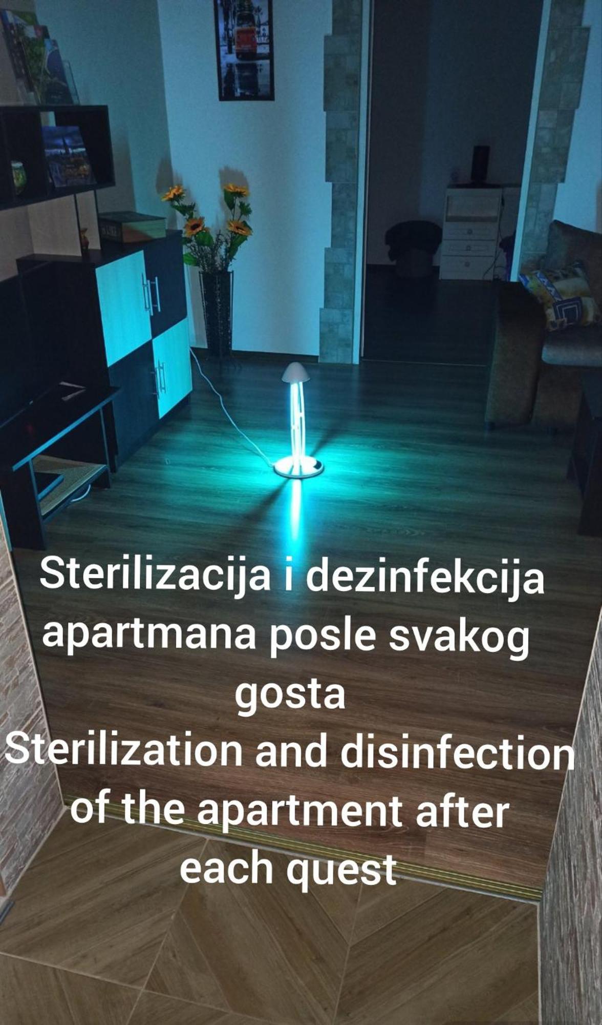 Ferienwohnung Apartman Su Libero Subotica Exterior foto